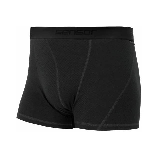 Термотрусы Sensor Merino DF black 15100027 M (SM21M-black-M) - изображение 1