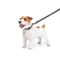 Повідець для собак WAUDOG Nylon "Калина" S (4915-0228) - зменшене зображення 4