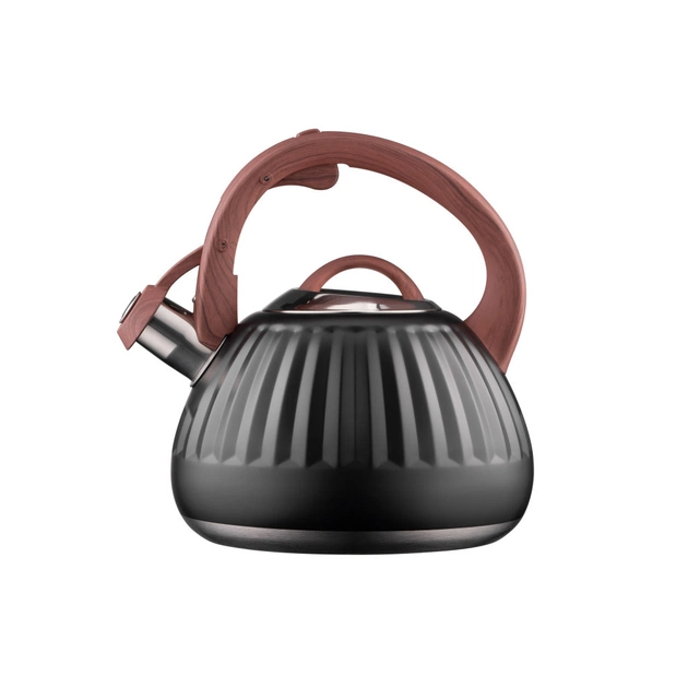 Чайник Ardesto Gemini 2.5 л Чорний (AR1958KS) - picture 7