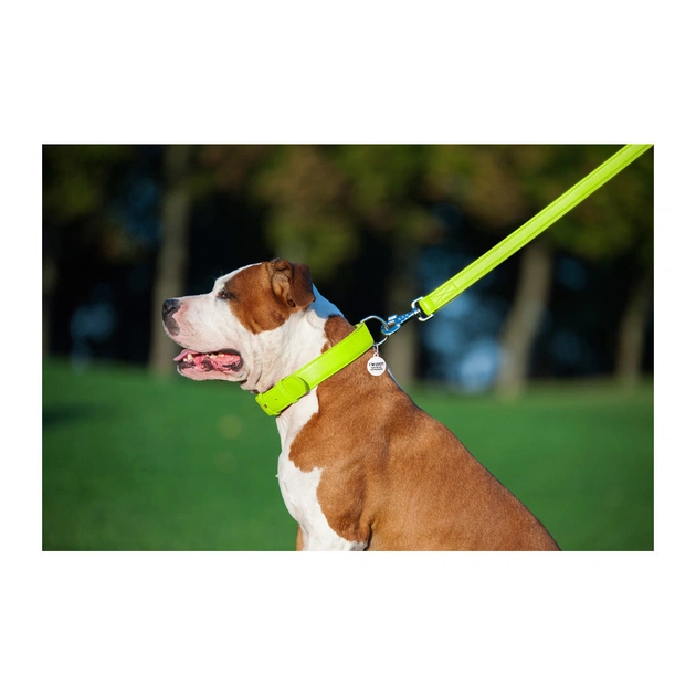 Повідець для собак WAUDOG Glamour шкіряний M-XXL салатовий (33765) - picture 7