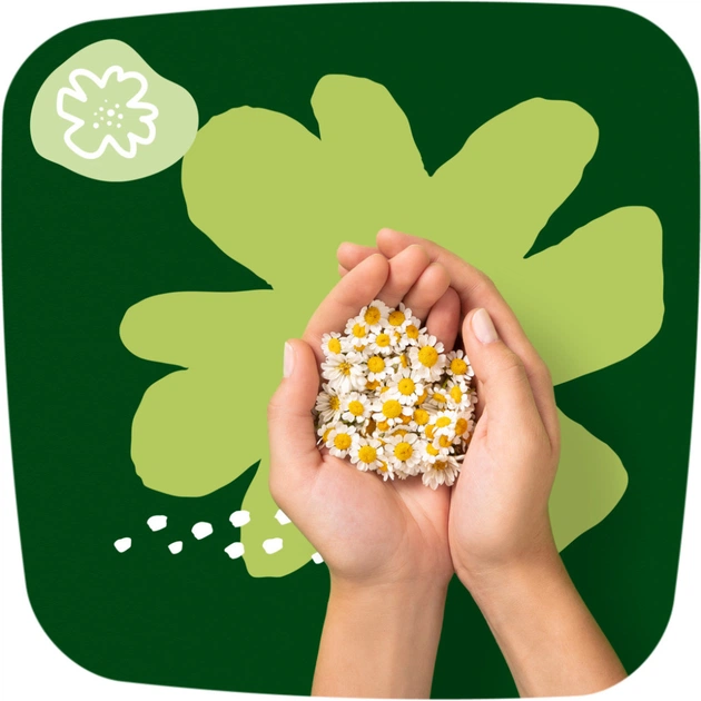 Гігієнічні прокладки Naturella Classic Night 14 шт (4015400437932) - picture 7