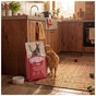Сухой корм для кошек Carnilove Active Lamb & Wild Boar Sterilised 6 кг (8595602581467) - уменьшенное изображение 8