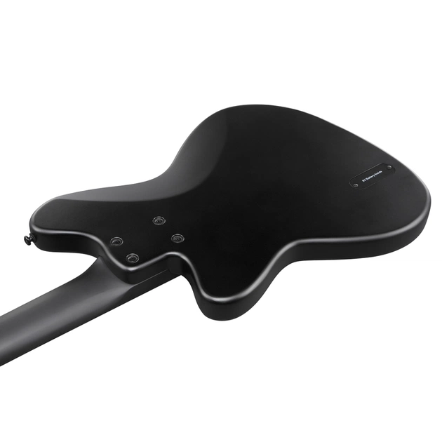 Бас-гітара Ibanez TMB425B BKF (236711) - picture 5