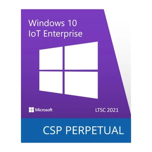 Операційна система Microsoft Windows 10 IoT Enterprise LTSC 2021 Perpetual, Commercial, OneTime (DG7GMGF0H3RD_0002) изображение 1