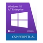 Операційна система Microsoft Windows 10 IoT Enterprise LTSC 2021 Perpetual, Commercial, OneTime (DG7GMGF0H3RD_0002) - уменьшенное изображение 1
