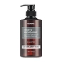 Шампунь Kundal Honey & Macadamia Nature Shampoo Earl Grey Musk 500 мл (8809693259151) - зменшене зображення 1