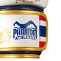 Боксерські рукавички Phantom Muay Thai Gold 14 унцій (PHBG2590-14) - зменшене зображення 6