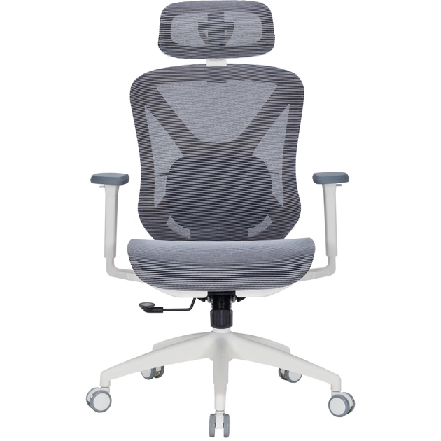 Офісне крісло OfficePro Atlas OC630G-DG-DG (OC630-G-DG-DG) - зображення 1