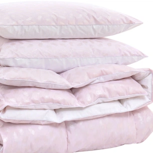 Ковдра MirSon Набір №2167 Bio-Pink Зима 90% пух 200х220 + подушки (2200003025538) зображення 1