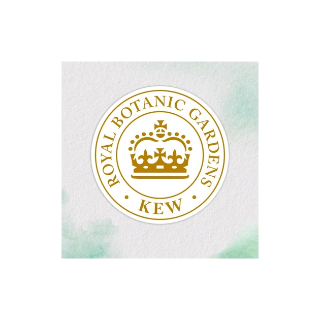 Кондиціонер для волосся Herbal Essences Апельсин Для об'єму волосся 250 мл (8700216210317) - picture 3