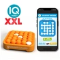 Настільна гра Smart Games IQ Міні XXL (SG 401 XL) - зменшене зображення 3