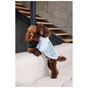 Светр для тварин Pet Fashion Fur М (4823082436064) - уменьшенное изображение 7