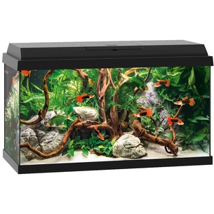 Акваріум Juwel PRIMO 70 LED чорний (4022573253702) изображение 1