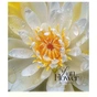 Тетрадь Школярик Sun Flower 60 листов клетка (060-3456K) - уменьшенное изображение 4