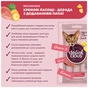 Ласощі для котів Delickcious Кремові курка з додаванням ананасу 1+1 (4820269148017) - зменшене зображення 3