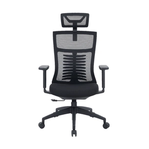 Офісне крісло OfficePro Balance OC550-B-B-B (OC550-B-B-B) зображення 1