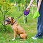 Повідець для собак WAUDOG R-leash з контейнером для пакетів S до 12 кг 3 м фіолетовий (26279) - зменшене зображення 9