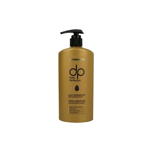 Шампунь Daily Perfection Cam Terebentin Pro-Keratin Shampoo 425 мл (8694965546332) зображення 1
