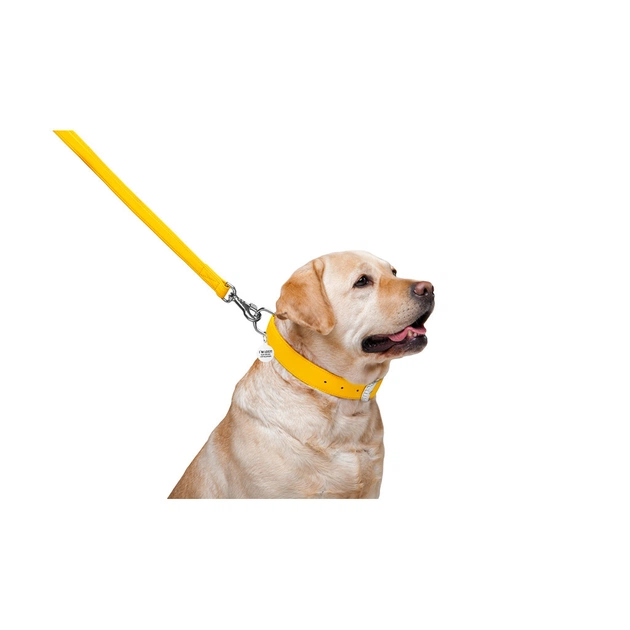 Повідець для собак WAUDOG Glamour шкіряний M-XXL жовтий (33768) - picture 4