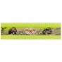 Лінійка ZiBi 15см "4X4", plastic, light green, blister (ZB.5604-15) - зменшене зображення 1