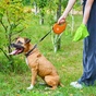 Повідець для собак WAUDOG R-leash з контейнером для пакетів L до 40 кг 5 м помаранчевий (26294) - зменшене зображення 7