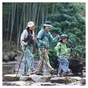 Треккинговые палки Naturehike CNK2550DS010 Sunlit Terk Base 60-135 см зелена (6977465869425) - уменьшенное изображение 2