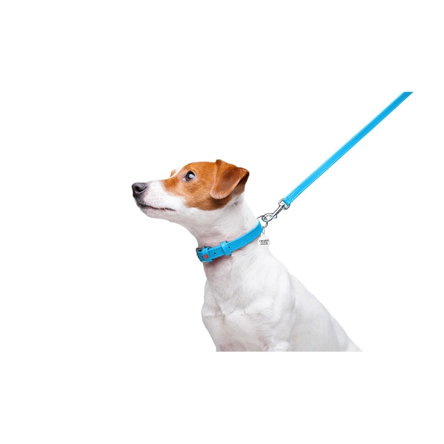 Повідець для собак WAUDOG Glamour шкіряний XS блакитний (33722) - зображення 5