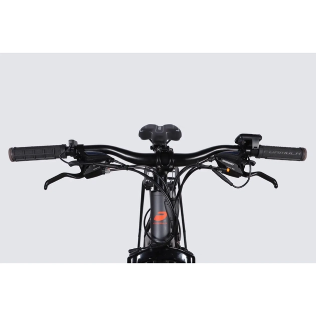 Електровелосипед Formula 29" eMOTION PLUS DD FR рама-19" 48B 15А*г 500Вт 2026 сіро-сріблястий (ELB-FR-29-261) - picture 6