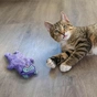 Іграшка для котів Petstages Мур-Мур 27x20 см (0871864007197) - зменшене зображення 7