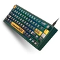 Клавіатура Thunderobot VIC68 TTC Ultra RGB King Magnetic Switch USB Parrot Green (6932066320188) - зменшене зображення 2