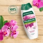 Гель для душу Palmolive Натурель Розкішна м'якість Екстракт чорної орхідеї зі зволожуючим молочком 450 мл (8718951526921) - зменшене зображення 5