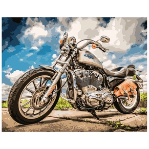 Картина по номерам Strateg Байк 40х50 см (VA-2518) зображення 1