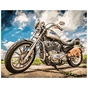 Картина по номерам Strateg Байк 40х50 см (VA-2518) - зменшене зображення 1
