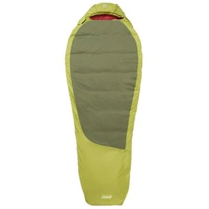 Спальний мішок Coleman Colemangunnison 500 (2000014850) зображення 1