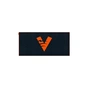Килимок для мишки FS Holding Virtus.Pro 2019 XL Control (FVPMPCONTROL190XL) - зменшене зображення 1
