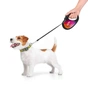 Повідець для собак WAUDOG R-leash Конотопські магічні війська світловідбиваюча стрічка M 5 м (8125-0232-01) - зменшене зображення 6