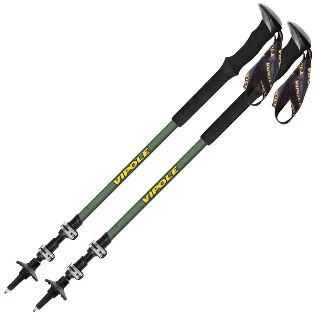 Треккинговые палки Vipole Base Camp Green DLX (S25 07) (DAS303441) - изображение 1
