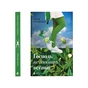 Книга Господь не любить веганів - Ганна Городецька Видавництво Старого Лева (9789664481462) - зменшене зображення 1