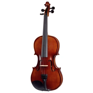 Скрипка Stentor Graduate Violin Outfit 4/4 (1542A) зображення 1