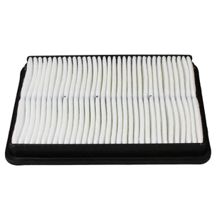 Повітряний фільтр для автомобіля Wixfiltron WA9789 зображення 1