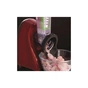 Подрібнювач Russell Hobbs 22280-56 - зменшене зображення 10