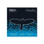 Струни для гітари PRS Signature Light Top / Heavy Bottom Guitar Strings 10-52 (100148011001004) - зменшене зображення 1