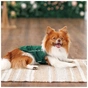 Борцовка для животных Pet Fashion Kale S зеленая (4823082441778) - уменьшенное изображение 4