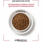 Сухий корм для кішок ProScience Adult Cat Salmon 1.5 кг (8694686407561) - зменшене зображення 8
