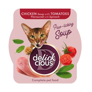 Вологий корм для кішок Delickcious Суп з курки з томатами та додаванням шпинату 80 г (4820269141551) зображення 1
