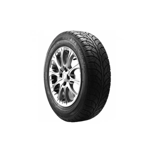 Шина ROSAVA WQ-102 175/70R13 82S W (14961033822) зображення 1