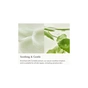 Сироватка для обличчя Beauty Of Joseon Light On Serum Centella + Vita C 30 мл (8809875906477) - зменшене зображення 3