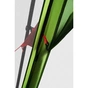 Тент Tramp Lite Mosquito Green (TLT-033.04) - зменшене зображення 12
