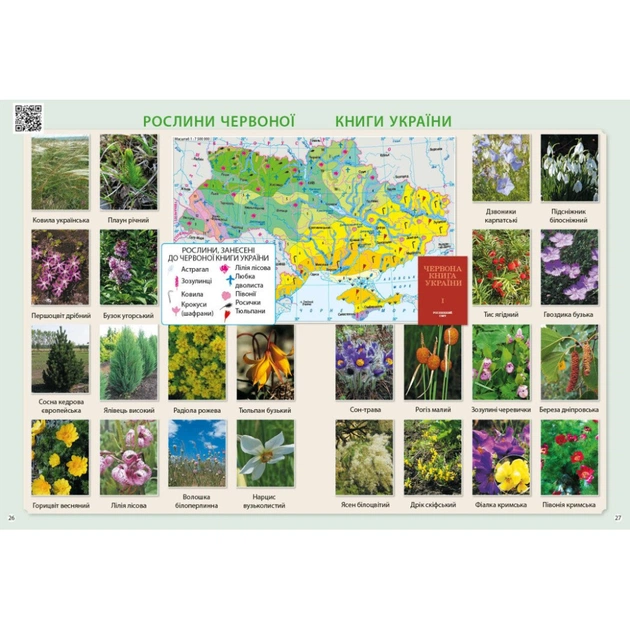 Атлас НУШ Я досліджую світ. 3 клас - О.В. Тагліна Ранок (9786170962454) - picture 6