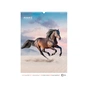 Календар Axent настінний А3 2026 р. Horses (8804-26-3-A) - уменьшенное изображение 11